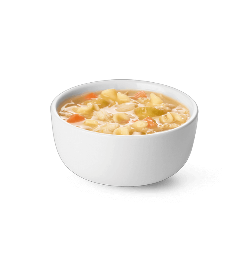 Chicken Noodle Soup